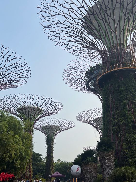 외계행성에 온듯 이색적인 싱가포르 슈퍼트리