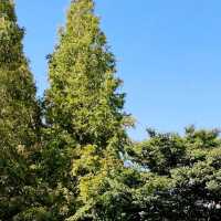 🌳 부산시민들을 위한 한적한 일상의 선물, 부산시민공원