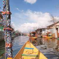 Jewel of Kashmir - Dal Lake 