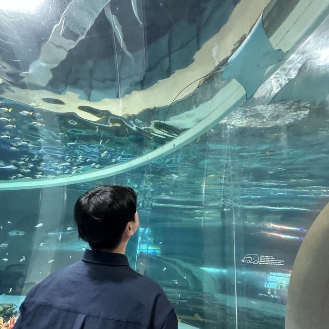 부산 영도 국립해양박물관