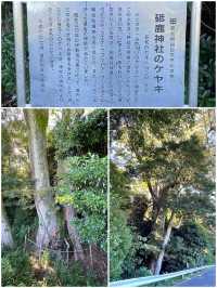 【愛知県/砥鹿神社】可愛い鹿のファミリーがいる神社