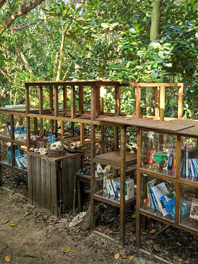 【西表島】ジャングルの中に図書館？