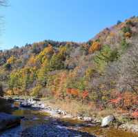 Beautiful autumn view of Odaesan NationalPark