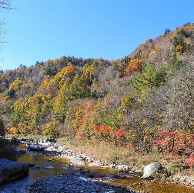 Beautiful autumn view of Odaesan NationalPark