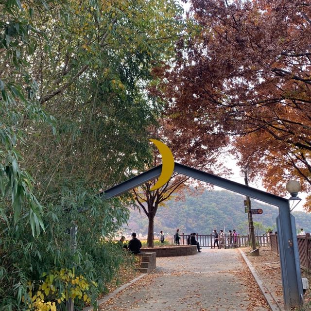 자연과 함께 어우러져 휴식을 즐기기에 좋은, 대구 월광수변공원 