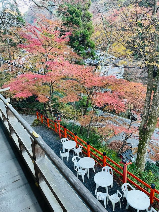 【京都府/貴船神社】清らかな水のある神社