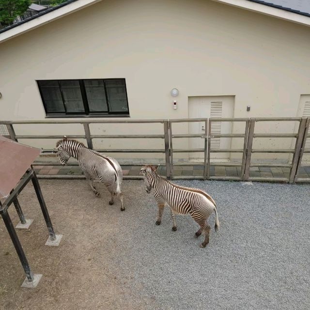 1903年開業の歴史ある動物園