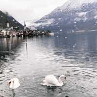 唯美夢幻奧地利Hallstatt