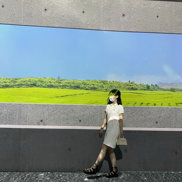 빛으로보는 박물관 “아르떼뮤엄 제주”