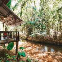 ร้านอาหารริมคลอง สัมผัสใกล้ชิดธรรมชาติในพังงา