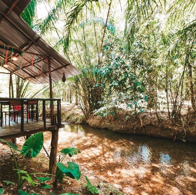 ร้านอาหารริมคลอง สัมผัสใกล้ชิดธรรมชาติในพังงา