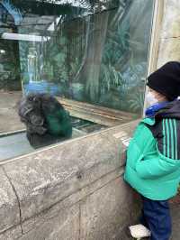 親子遊必去！ #伊豆仙人掌動物園