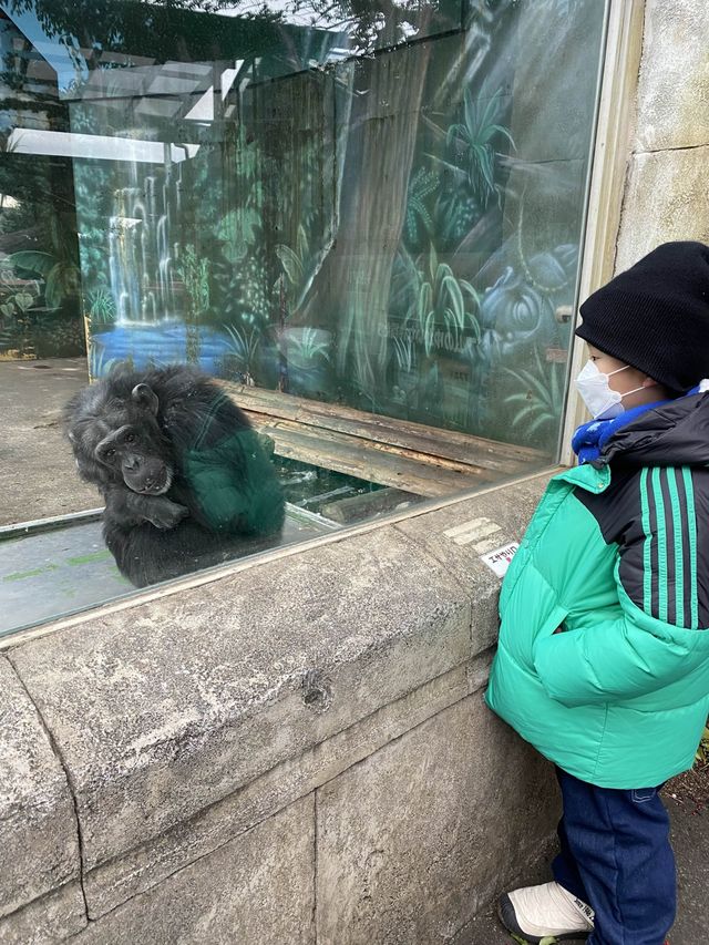 親子遊必去！ #伊豆仙人掌動物園