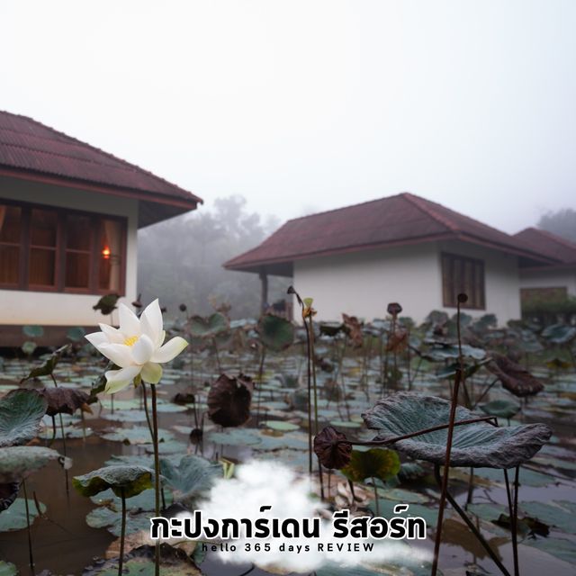 13 จุดเช็คอิน กิน เที่ยว พัก เมืองกะปง จ.พังงา