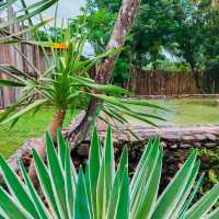 Riverside Palm Inn Sungai Lembing
