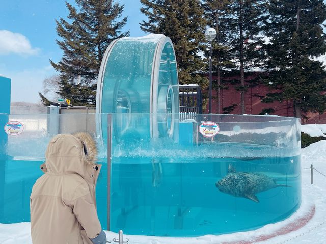 超打卡able 登別尼克斯海洋公園