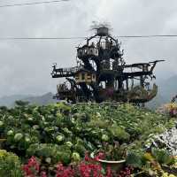 Cat Cat Village Sapa 