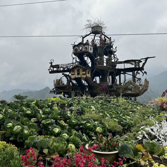 Cat Cat Village Sapa 