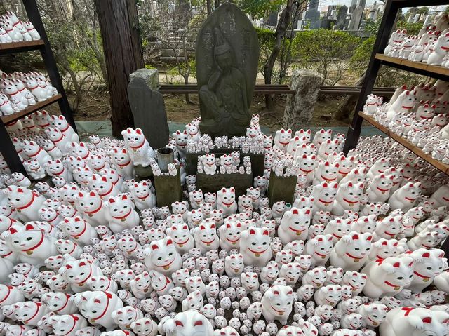 東京好有特色貓貓豪德寺