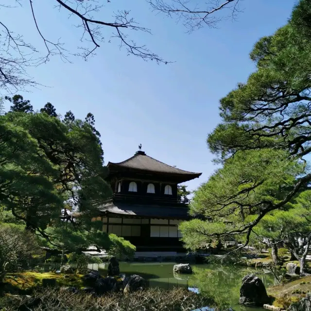pretty Kyoto temple