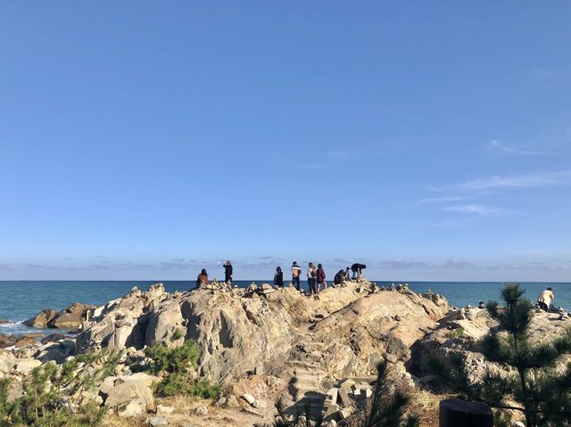 기장 핫플레이스 해동용궁사 부산여행 필수코스 ✔️