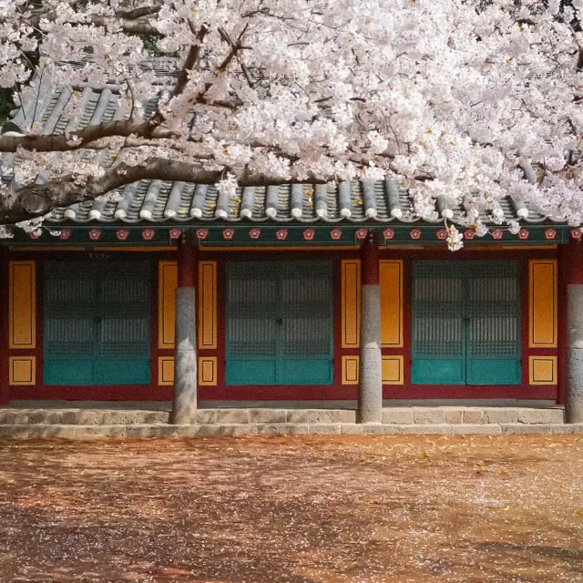 제주공항과 가까운 고즈넉한 삼성혈🌸