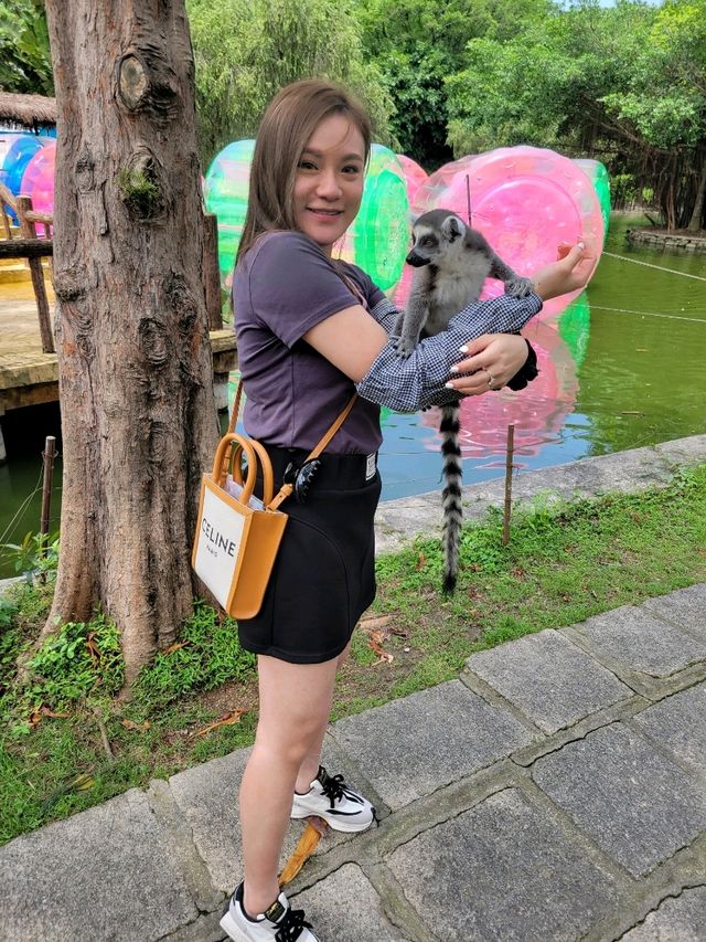 深圳動物園一天遊