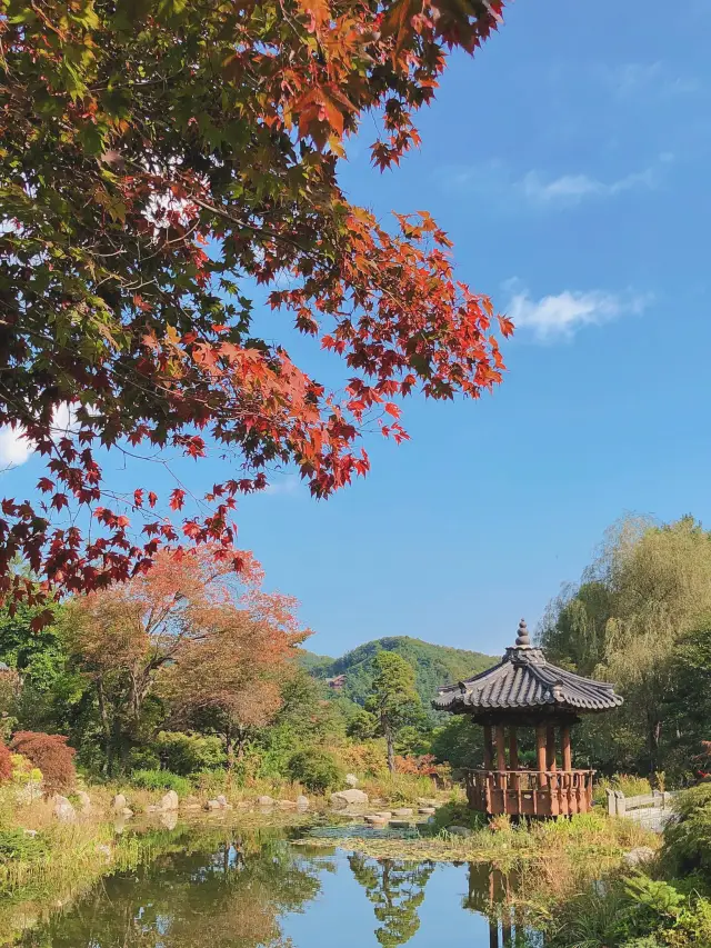 《首爾》首爾近郊楓葉如夢似幻的韓劇景點-晨靜植物園