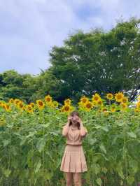 서귀포 여름꽃 다양하게 만날 수 있는 ‘제주민속촌’