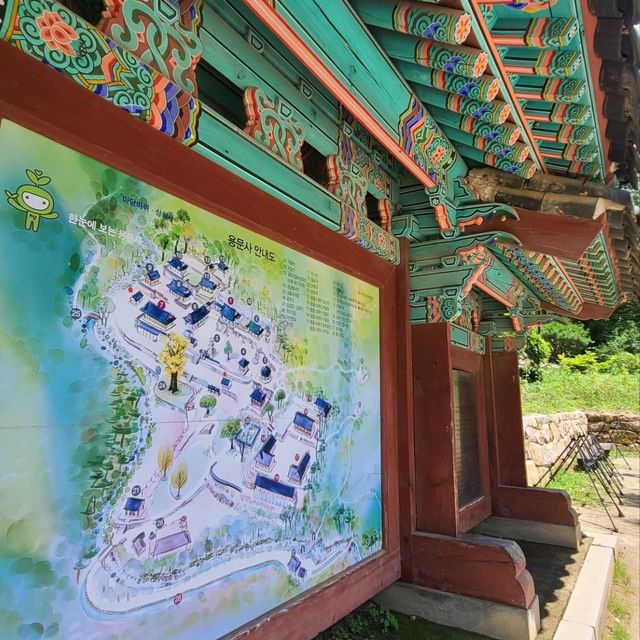 녹음이 우거진 숲길 물소리 들으며 원주 용문사에서 즐거운 오후