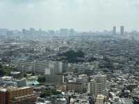東京・三軒茶屋。無料で地上126mから都心や東京タワーの夜景も楽しめる『スカイキャロット展望ロビー』