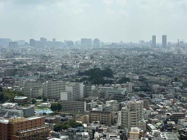 東京・三軒茶屋。無料で地上126mから都心や東京タワーの夜景も楽しめる『スカイキャロット展望ロビー』