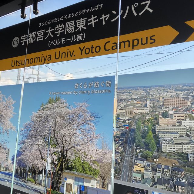 宇都宮LRTに乗車してみた！