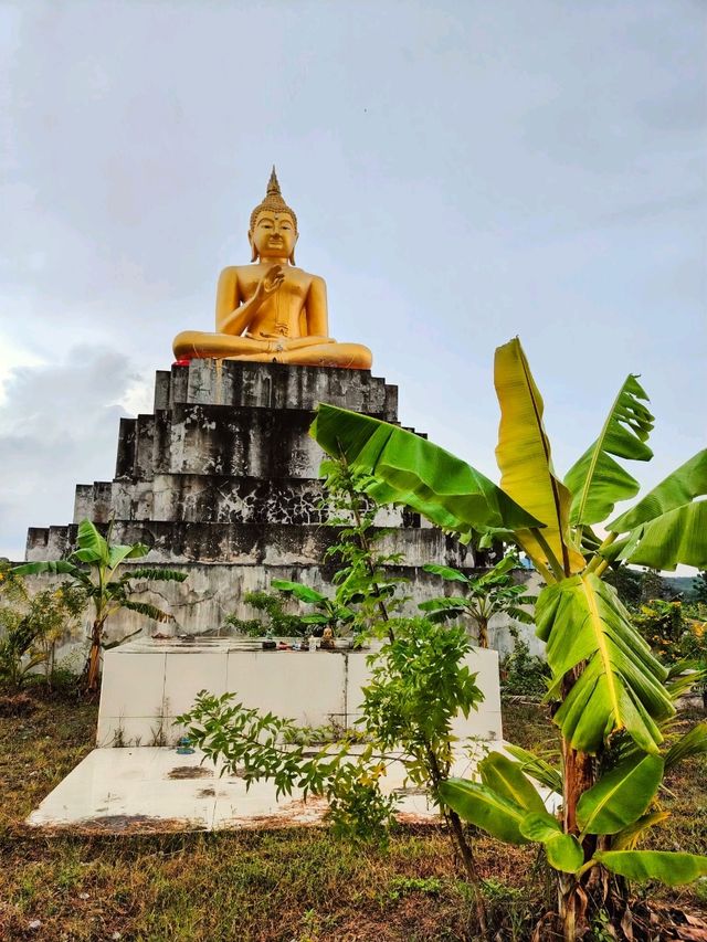 two magnificent golden Buddhist 🙏🏼🙏🏼🙏