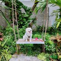โรงแรม 4 ดาวพัทยา ราคาเบา พาน้องหมาน้องแมวมาได้!