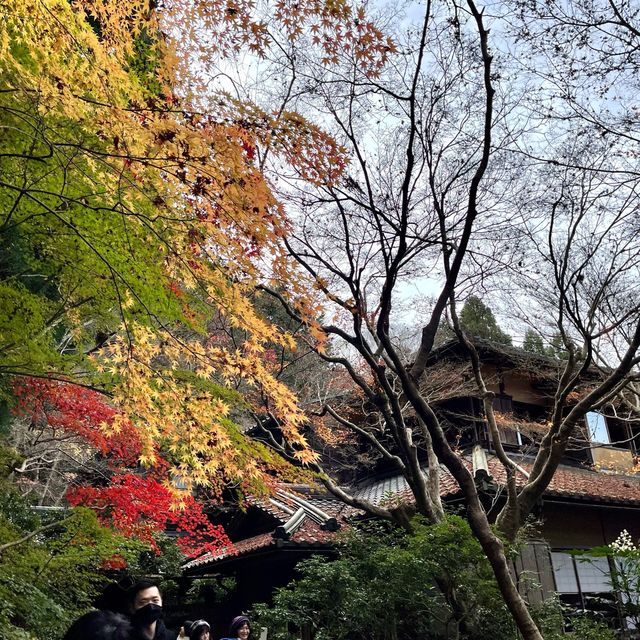 紅葉貴必訪景點 - 京都瑠璃光院