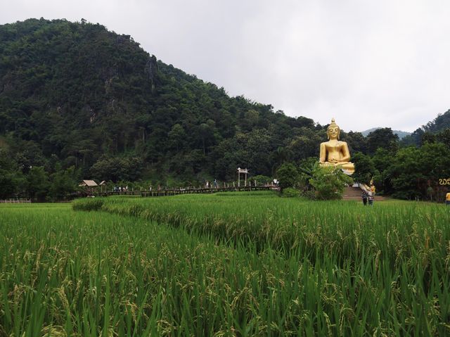 สักการะพระเจ้าต๋นหลวงกลางทุ่งนา @วัดนาคูหา จ.แพร่
