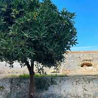 A VENETIAN FORTRESS OF CORFU!