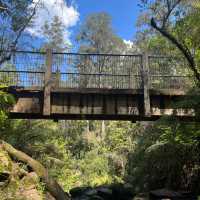 เดินเขากันที่ Dandenong ranges national park 🏞️ 
