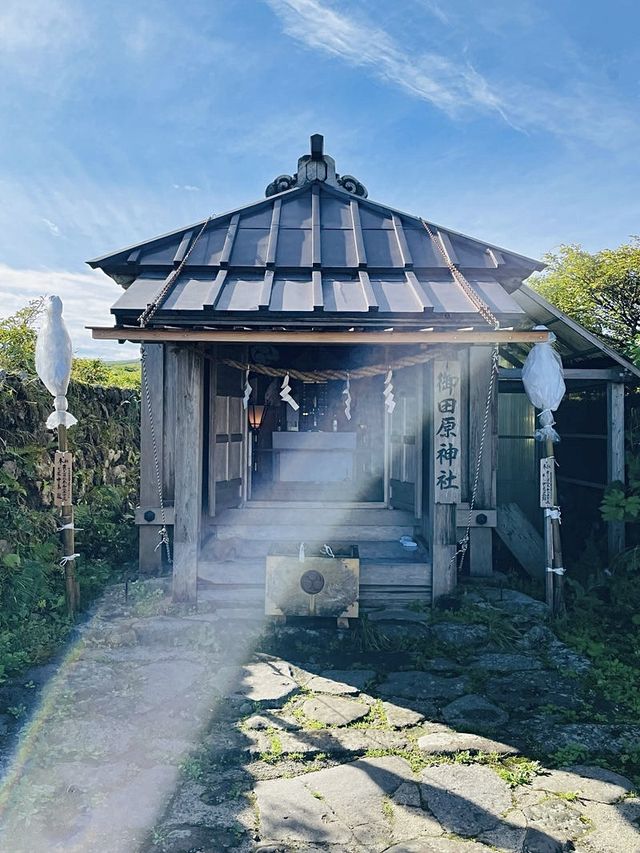 【山形県/御田原神社】2023年行ってよかった！山形県の神社⑦