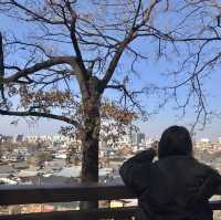 전주 한옥마을 & 오목대