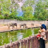 ZOO TAIPING 