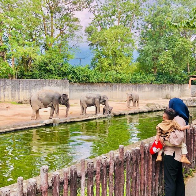 ZOO TAIPING 