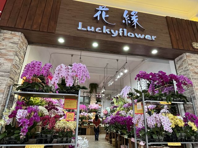 香港特色街道 @ 旺角花墟 香港特色街道 @ 旺角花墟