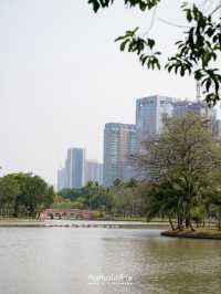 ปิคนิครับลมที่สวนจตุจักร