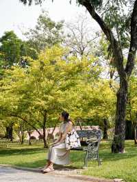 ปิคนิครับลมที่สวนจตุจักร