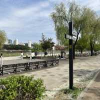 City Parks - Gwanggyo Lake Park