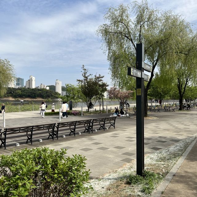 City Parks - Gwanggyo Lake Park