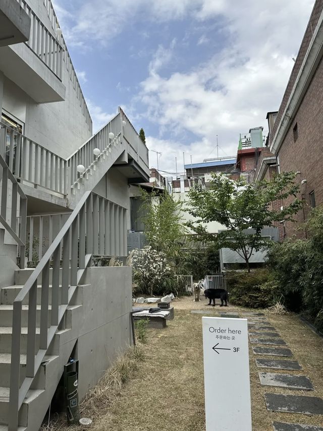 🇰🇷韓国 /ソウル cafe 🖤THE equilibrium coffee 映えカフェ