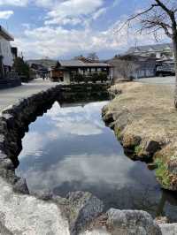 【世界遺産】富士山の麓で神秘的な世界🗻